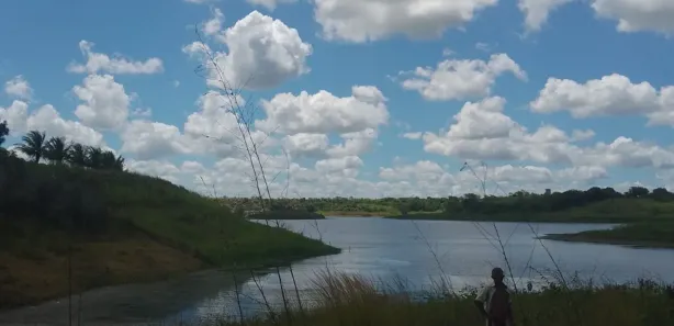 Fazenda / Sítio / Chácara com 4 Quartos à venda, 20000m² no , Feira Nova