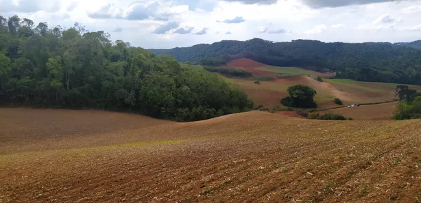 Fazenda / Sítio / Chácara à venda, 48400m² no Pacotuba, Almirante Tamandaré