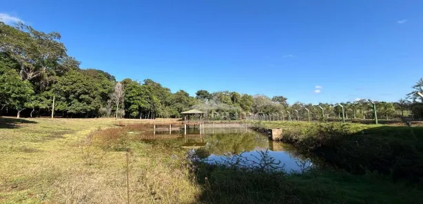 Fazenda / Sítio / Chácara com 6 Quartos à venda, 1100m² no , Ibiporã