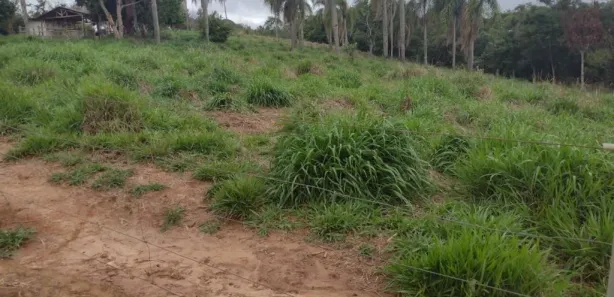 Terreno / Lote / Condomínio à venda, 1704m² no , Sarapuí