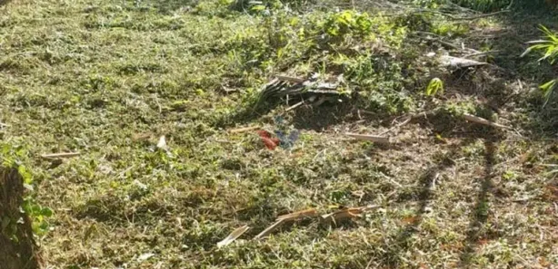 Terreno / Lote / Condomínio à venda, 915m² no Planta Almirante, Almirante Tamandaré