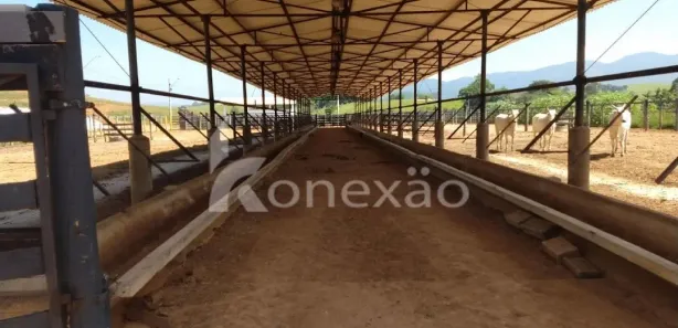 Fazenda / Sítio / Chácara com 2 Quartos à venda, 249m² no Chácara Marambaia, Caçapava