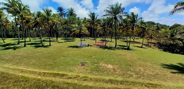 Terreno / Lote / Condomínio à venda, 10m² no Centro, Canavieiras