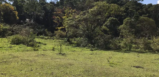 Fazenda / Sítio / Chácara com 3 Quartos à venda, 165000m² no Papucaia, Cachoeiras de Macacu
