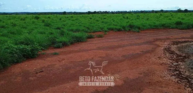 Fazenda / Sítio / Chácara à venda, 76850000m² no , Formoso do Araguaia