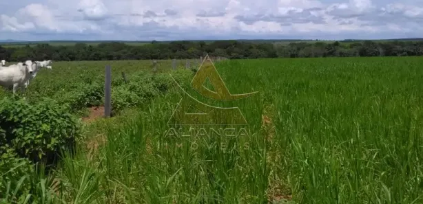 Fazenda / Sítio / Chácara com 6 Quartos à venda, 95287500m² no Guaraí, Guaraí