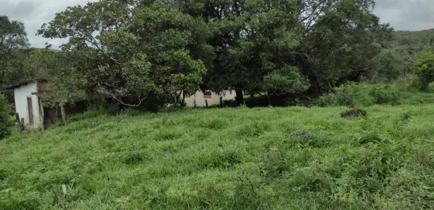 Terreno / Lote / Condomínio à venda, 20000m² no Zona Rural, Fortuna de Minas