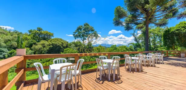 Fazenda / Sítio / Chácara com 2 Quartos à venda, 15000m² no Palmitalzinho, Quatro Barras