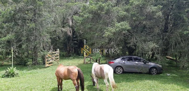 Fazenda / Sítio / Chácara à venda, 43700m² no Estação, Araucária
