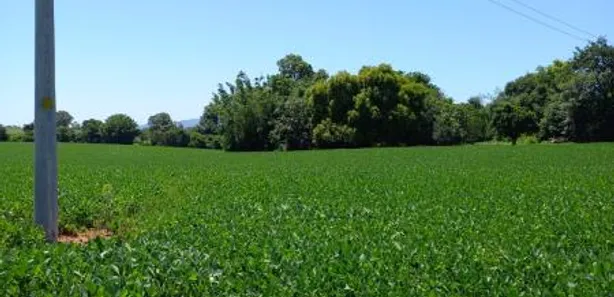 Fazenda / Sítio / Chácara à venda, 21000m² no Camobi, Santa Maria