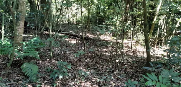 Fazenda / Sítio / Chácara com 1 Quarto à venda, 7000m² no Contenda, Contenda