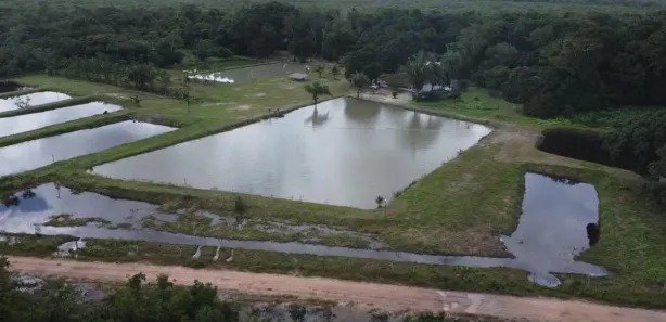 Fazenda / Sítio / Chácara à venda, 32m² no , Morros