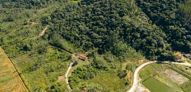 Fazenda / Sítio / Chácara com 3 Quartos à venda, 140m² no Sai, São Francisco do Sul