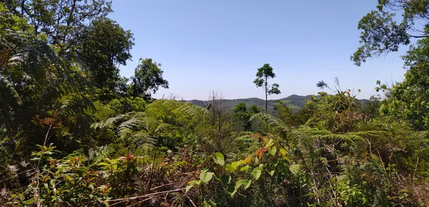 Fazenda / Sítio / Chácara à venda, 508200m² no , Piedade