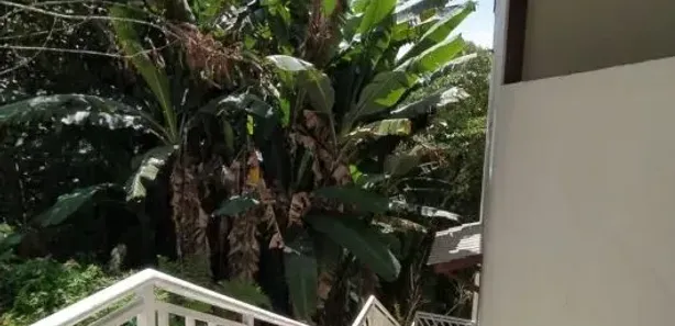Casa de Condomínio com 3 Quartos à venda, 421m² no Parque Delfim Verde, Itapecerica da Serra
