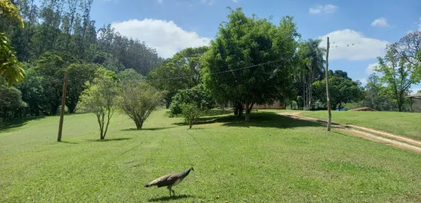 Terreno / Lote / Condomínio à venda, 1000m² no , Alumínio