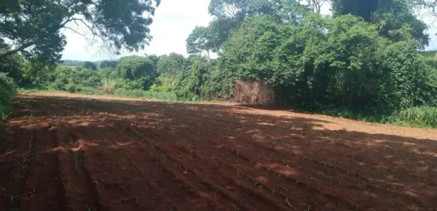Fazenda / Sítio / Chácara com 2 Quartos à venda, 55000m² no , Nerópolis