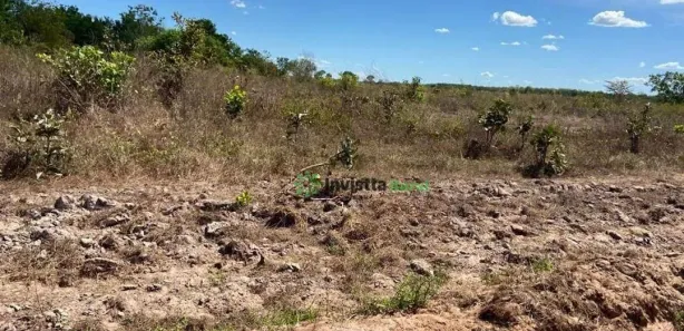 Fazenda / Sítio / Chácara à venda, 1250m² no Centro, Lagoa da Confusão