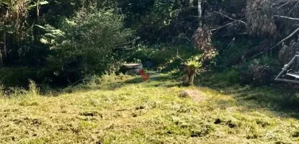 Fazenda / Sítio / Chácara com 1 Quarto à venda, 915m² no Centro, São José dos Pinhais