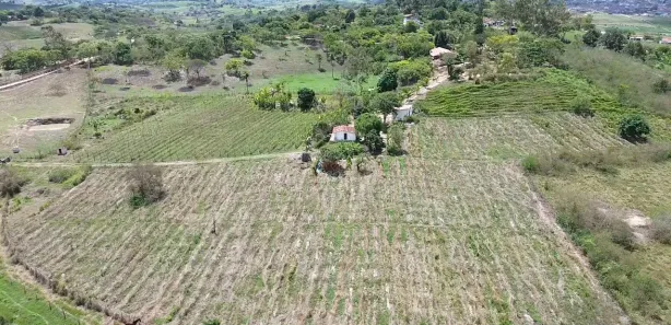 Fazenda / Sítio / Chácara com 3 Quartos à venda, 30000m² no , Sairé