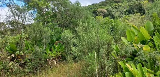 Terreno / Lote / Condomínio à venda, 3780m² no , Águas Mornas
