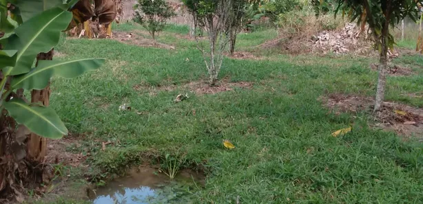 Fazenda / Sítio / Chácara com 2 Quartos à venda, 150m² no Gravatá Centro, Gravatá