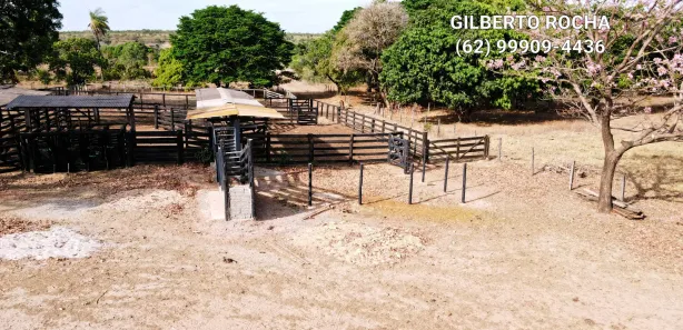 Fazenda / Sítio / Chácara à venda, 17900000m² no , Rio Sono