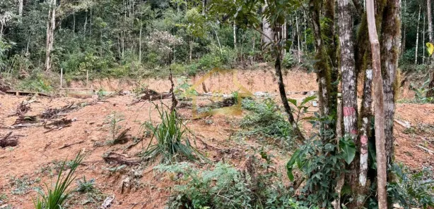 Terreno / Lote / Condomínio à venda, 20000m² no Quatro Barras, Quatro Barras