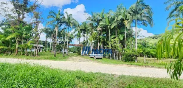 Fazenda / Sítio / Chácara com 3 Quartos à venda, 300m² no Rio do Cedro, Antonina