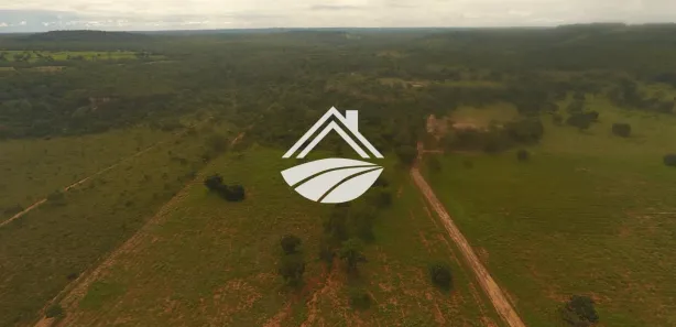 Fazenda / Sítio / Chácara à venda, 1m² no , Ponte Alta do Tocantins