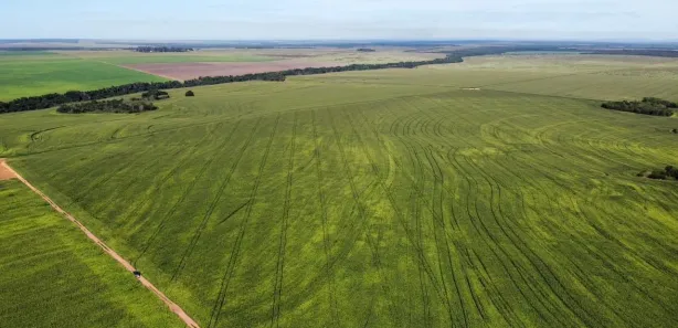 Fazenda / Sítio / Chácara à venda, 2900m² no , Pedro Afonso