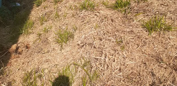 Terreno / Lote / Condomínio à venda, 210m² no Colina Verde, Pouso Alegre