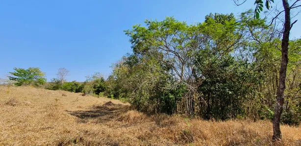 Terreno / Lote / Condomínio à venda, 20000m² no Zona Rural, Fortuna de Minas