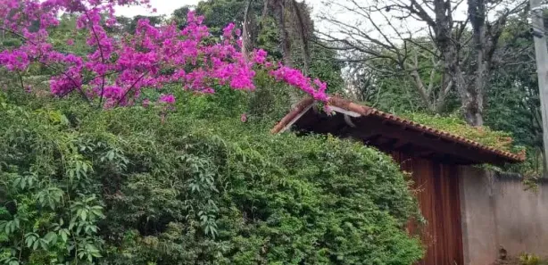 Fazenda / Sítio / Chácara com 3 Quartos à venda, 360m² no , Paty do Alferes