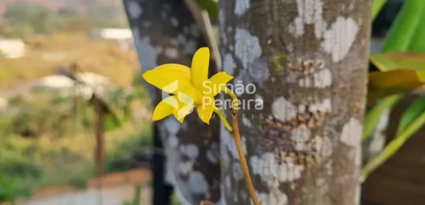 Casa de Condomínio com 2 Quartos à venda, 170m² no Moura Brasil, Três Rios
