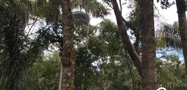 Fazenda / Sítio / Chácara à venda no , Guaraí