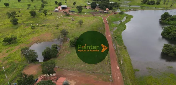Fazenda / Sítio / Chácara com 3 Quartos à venda, 49029200m² no , Lagoa da Confusão