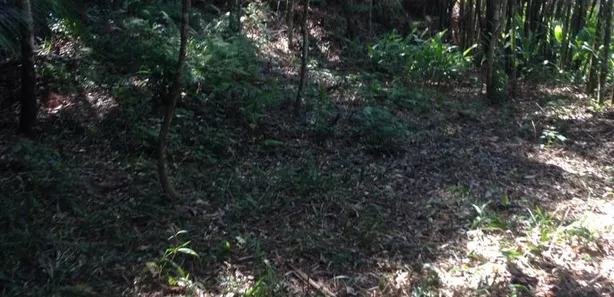 Terreno / Lote / Condomínio à venda, 1632m² no Quitandinha, Petrópolis