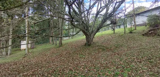 Fazenda / Sítio / Chácara com 2 Quartos à venda, 70m² no Tatetos, São Bernardo do Campo