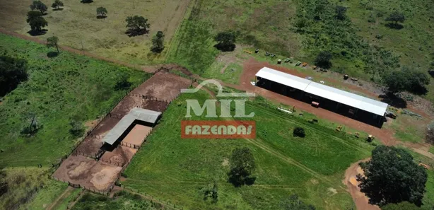Fazenda / Sítio / Chácara à venda, 27646080m² no , Pium