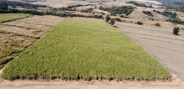 Fazenda / Sítio / Chácara à venda, 72600m² no Área Rural de Águas de São Pedro, Águas de São Pedro