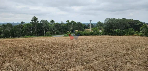 Fazenda / Sítio / Chácara à venda, 17000m² no Área Rural de Araucária, Araucária