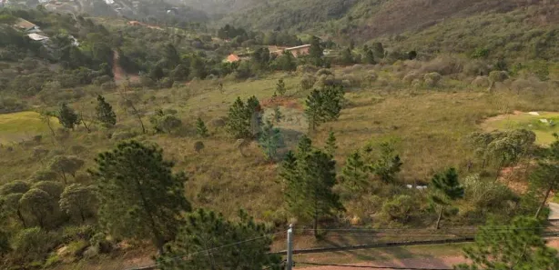 Terreno / Lote / Condomínio à venda, 3001m² no Pedro do Rio, Petrópolis