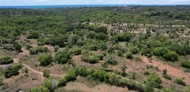 Fazenda / Sítio / Chácara à venda, 200000m² no Barra do Pojuca (Monte Gordo), Camaçari