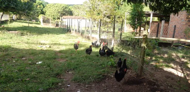 Fazenda / Sítio / Chácara com 3 Quartos para venda ou aluguel, 342m² no Jacumã, Conde