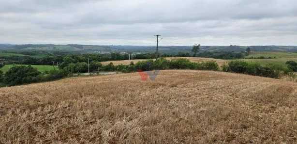 Fazenda / Sítio / Chácara à venda, 17000m² no Área Rural de Araucária, Araucária