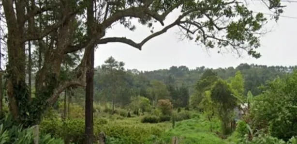 Terreno / Lote / Condomínio à venda, 543301m² no , Embu-Guaçu