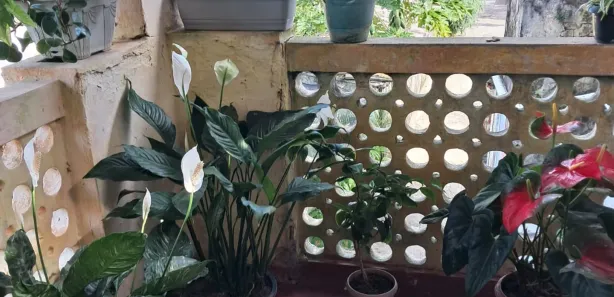 Sobrado com 5 Quartos à venda, 354m² no Muritiba, Muritiba