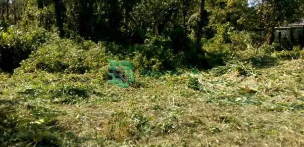 Fazenda / Sítio / Chácara à venda, 1400m² no , Mongaguá