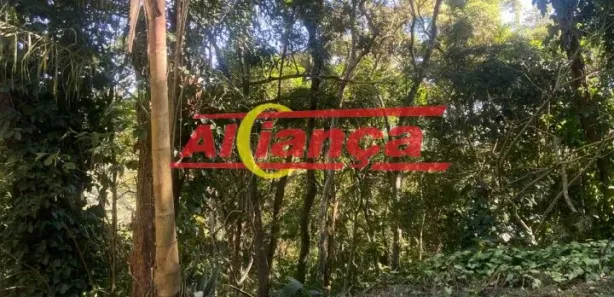 Terreno / Lote / Condomínio à venda, 1238m² no Área Rural de Mairiporã, Mairiporã